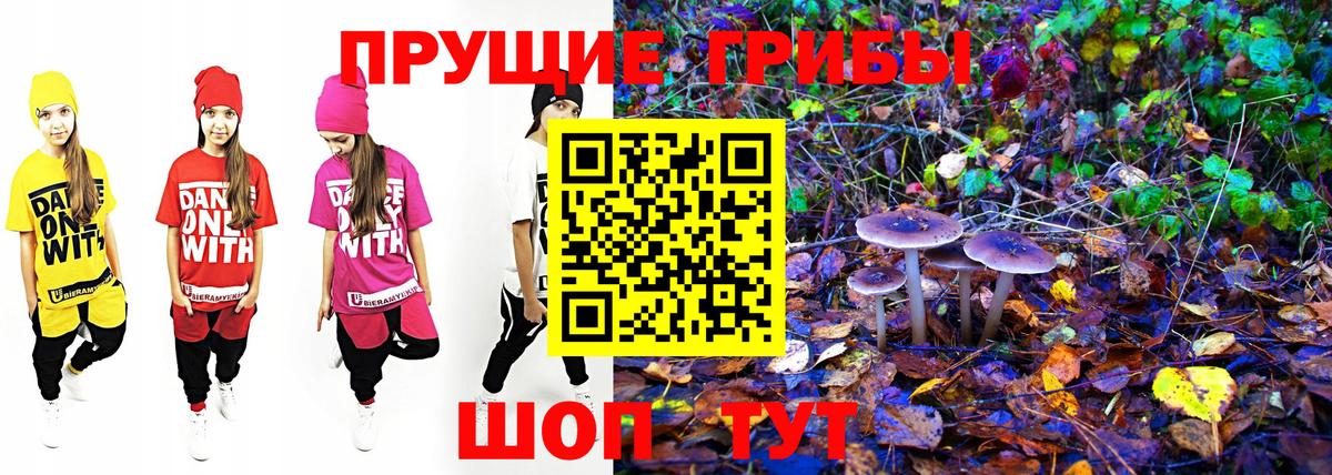 Псилоцибиновые грибы MAGIC MUSHROOMS  Вход с VPN  где продают наркотики  Коркино  Галлюциногенные грибы Psilocybine cubensis 